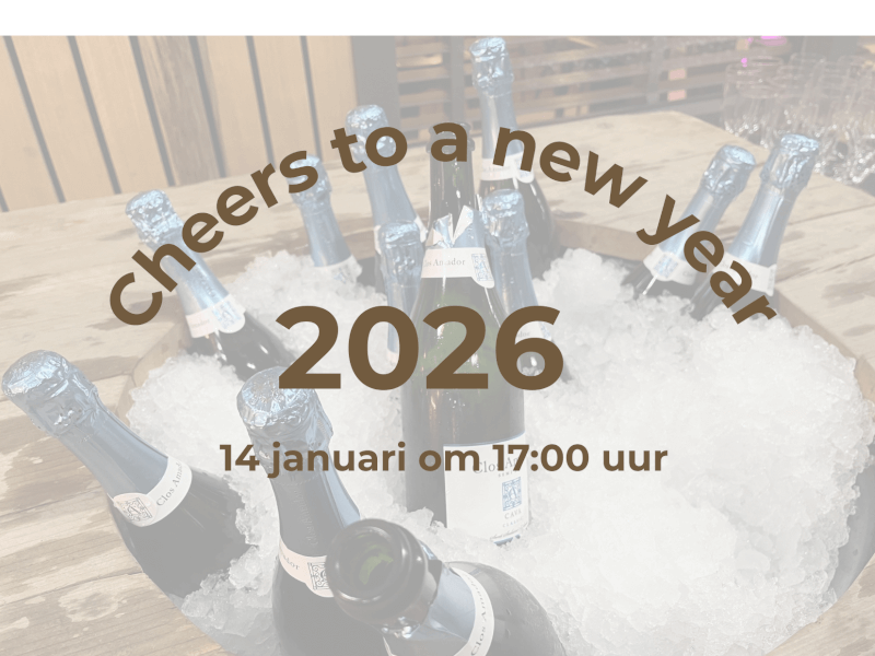 Cheers to a new year