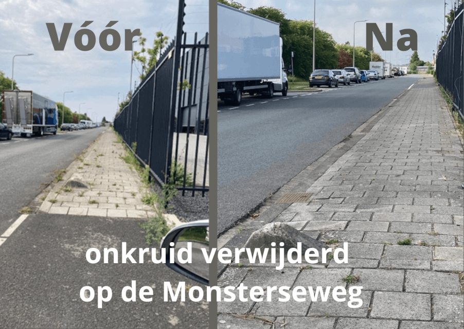 voor en na onkruid verwijderen